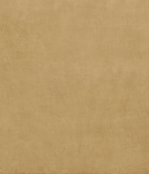 Balance Mustard