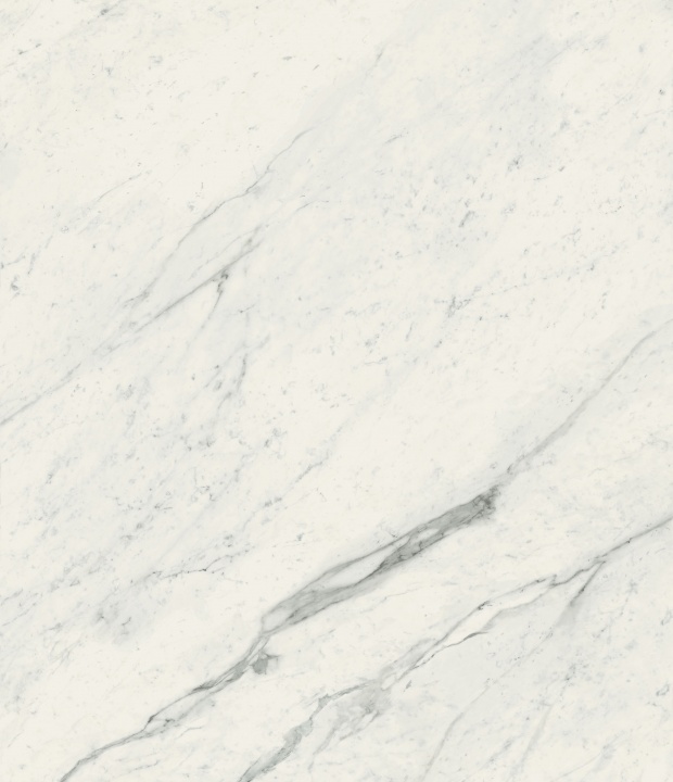 Elegant White